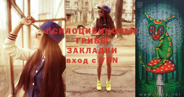 стаф Навашино