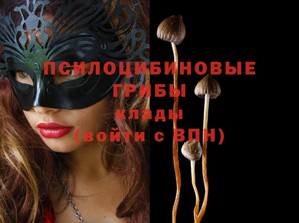 mdpv Ладушкин