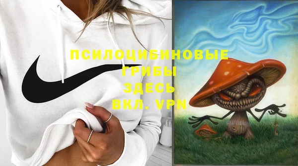 сатива Лагань