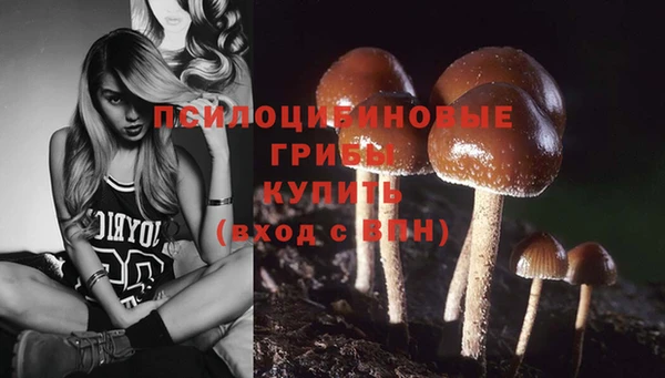 сатива Лагань