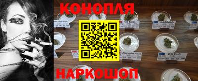 крисы Заводоуковск