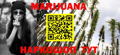 сатива Балаково