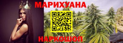 крисы Заводоуковск