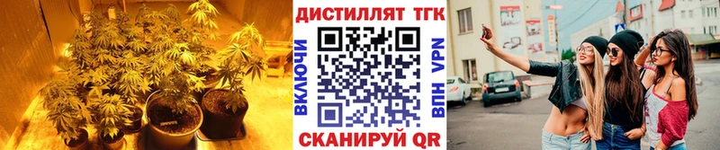 ТГК вейп  Мирный 