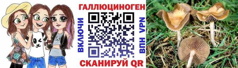 Галлюциногенные грибы ЛСД  закладки  Мирный 