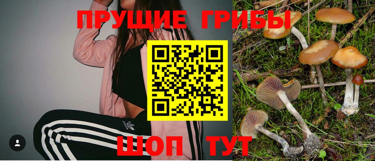 ГАШ Мирный